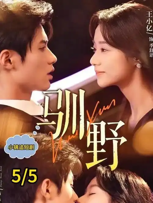 暗涌之城 热播电视剧全集手机在线看